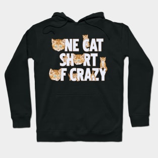 One Cat Short Of Crazy Hoodie